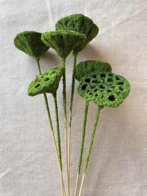 Lotus Pod/Stem Moss Covered 6 Picks per Bag - 12 Bag/cs