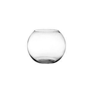 JAR6 Clear Bubble Bowl 6" 24/cs