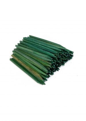 6" Unwired Wood Pick Bag x1000 - 900107GRN/BG