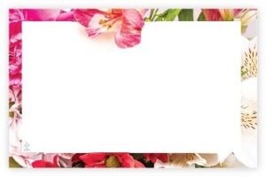 AC5146 CAPRI/NO SENTIMENT/FRAME - 50/pack