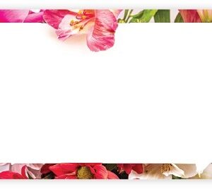 AC5146 CAPRI/NO SENTIMENT/FRAME - 50/pack