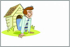 AC3731 CAPRI/NO SENTIMENT - Out of the Doghouse - 50/pack