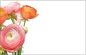 AC4941 CAPRI/NO SENTIMENT Ranunculus - 50/pack