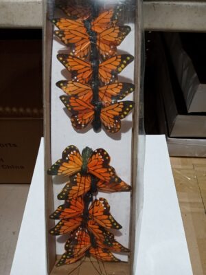 dp1028 med. butterfly on wire small box/orange