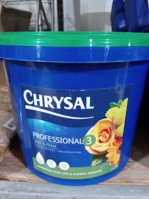 ec9005207c chrysal professional 3 vase and foam/10lb