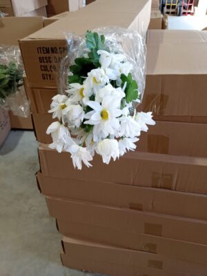 Daisy Bush x 14 White