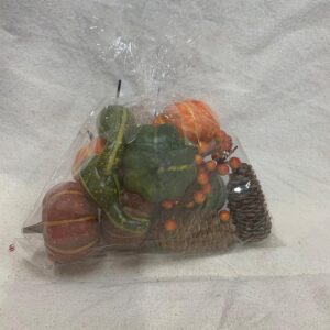 PUMPKIN, GOURD & CONES IN BAG - SHF1002