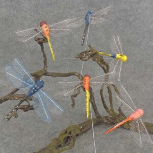 DRAGONFLY 4x3" W/WIRE 6 ASST - B6760