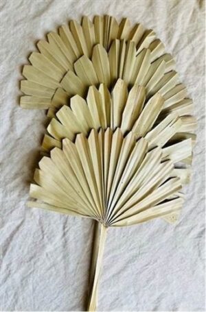 Small Sun Palm 17" Natural