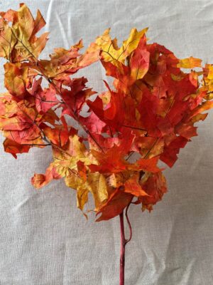 Oak Leaves Dried Autumn 1lb