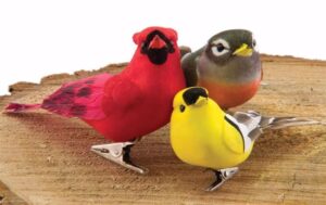 Cardinal Finch Assorted x3 on Clip 12/bx - 830013