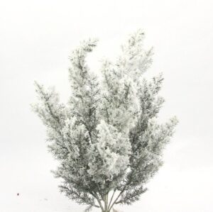 Frosted Cedar x9 Flocked - GPB20839