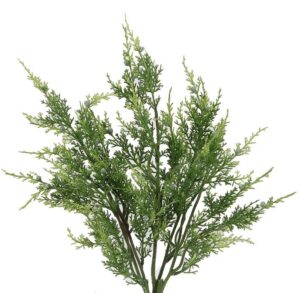 Juniper Pine Bush Green - GPB6836