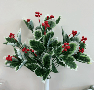 Holly Bush x14 w/Berries Variegated - 22428VAR