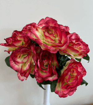 New American Heritage Rose Bush x12 Peppermint - 56690FI