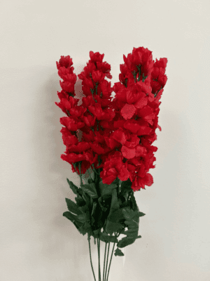 Delphinium Bush X 6 - Red 12063RD