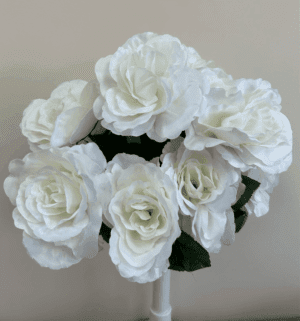 SF56690 New American Heritage Rose Bush x12 White