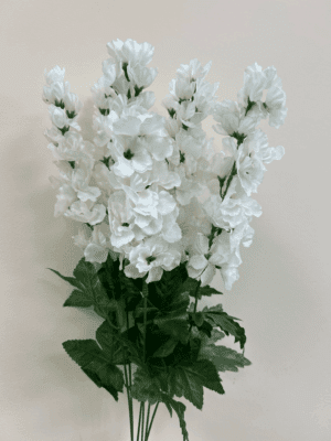 Delphinium Bush X 6 - White 12063WH
