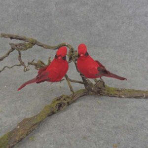 Cardinals 5" Red x12 - B6749