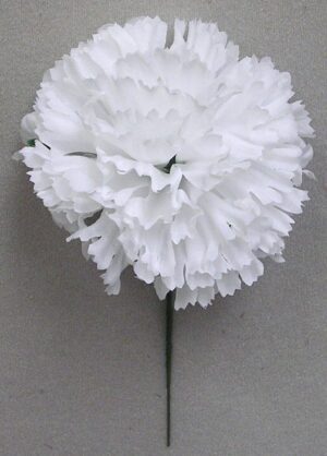 Carnation Head Picks - White X100