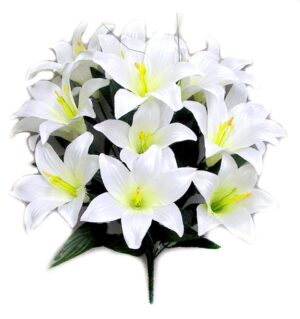 Easter Lily Bush x14 White - GPB151W