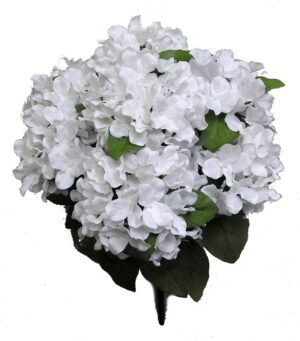 Hydrangea Bush x7 White - GPB730WHITE