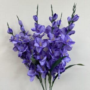 Large Glad Bush x6 Purple - 46566