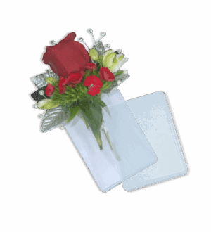 Pockette Pouch Bout Holder x10 Clear - PP8303