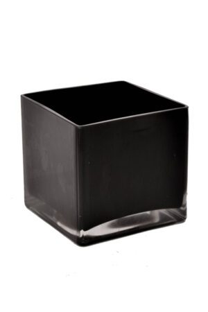 5"x5" Square Cube Vase Black x12 - H555