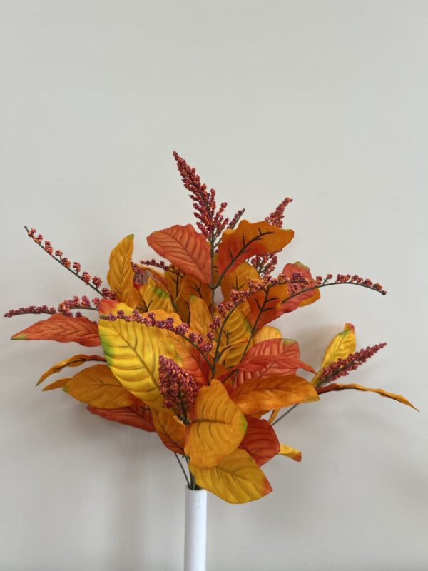 Magnolia Leaf Mixed Bush x12 OR MX - 72221